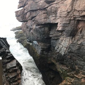 Meet your Posher, Tressa